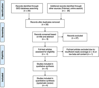 Molecular Footprints of the Immune Assault on Pancreatic Beta Cells in Type 1 Diabetes